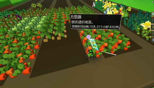 宝藏世界瓶子怎么种植