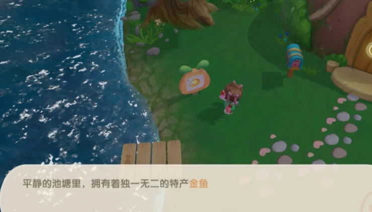 摩尔庄园热带雨林怎么布置