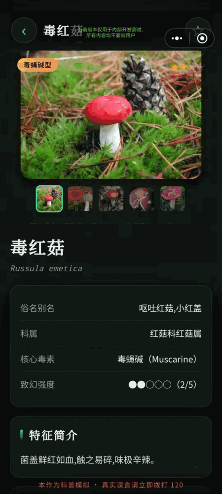 毒蘑菇幻觉模拟器截图5