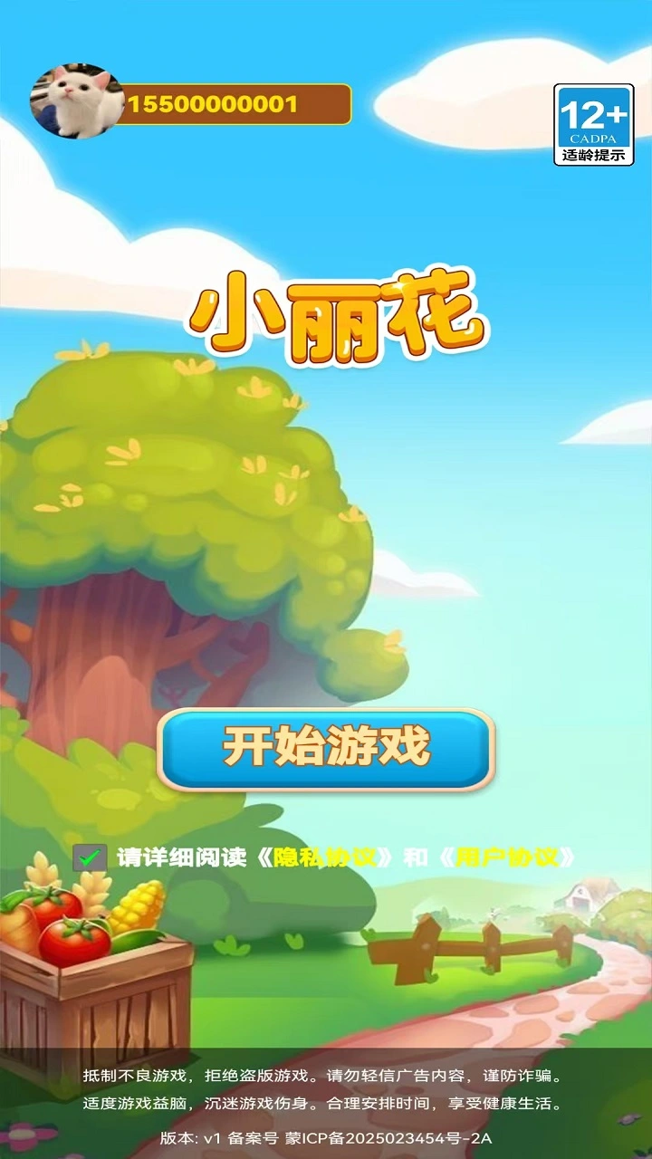 小丽花截图2