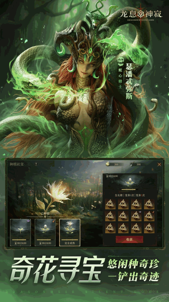 龙息神寂截图5