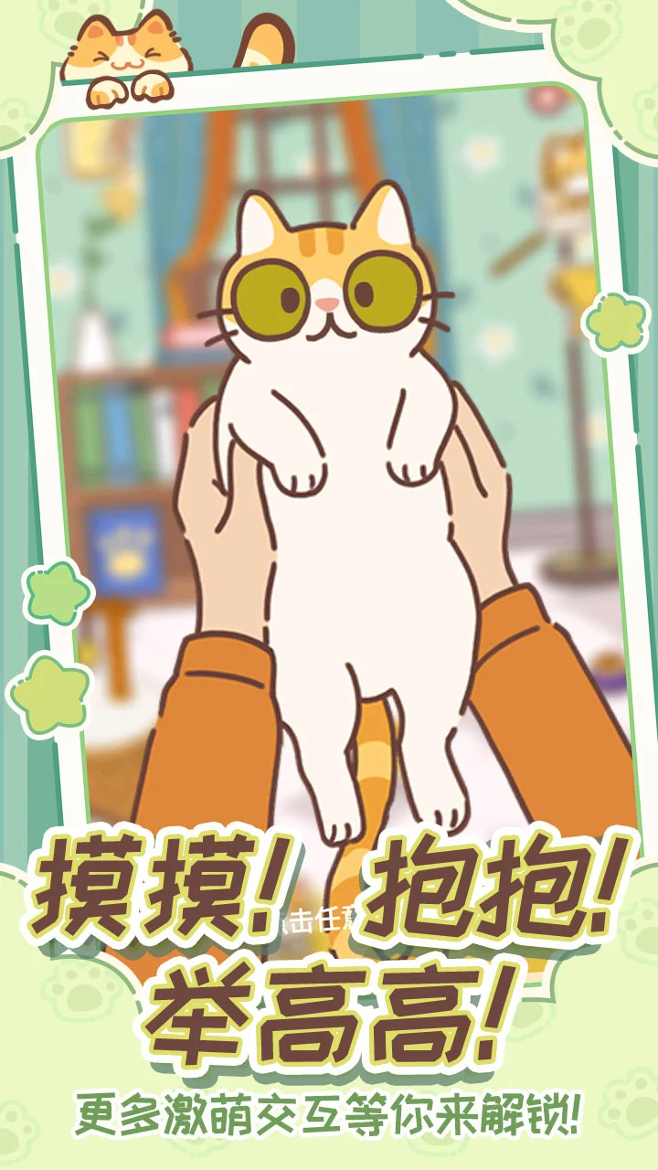 领养一只流浪猫