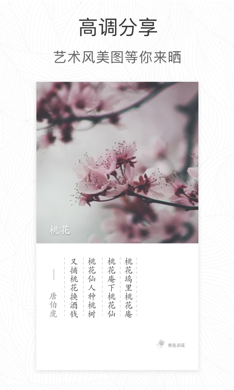 形色截图3