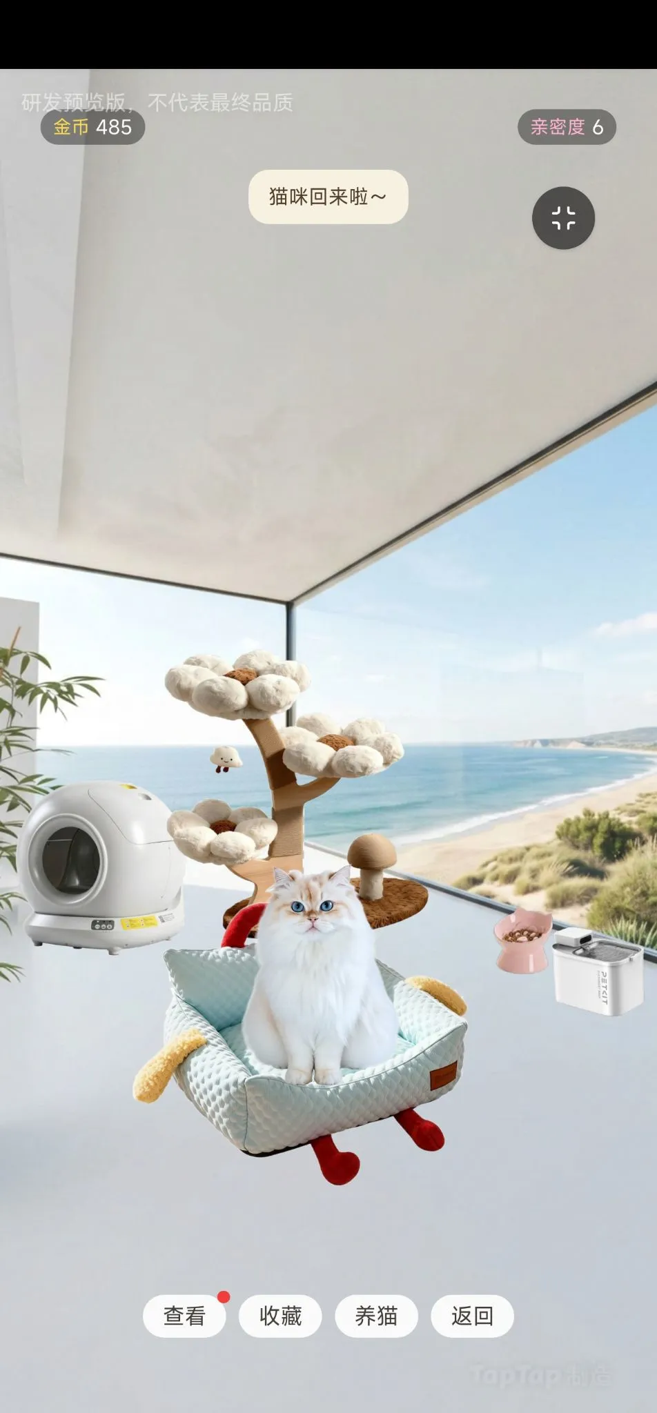 猫猫咪奇屋截图2