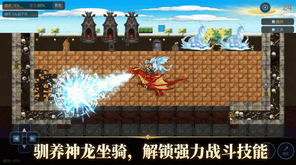驯龙记截图3