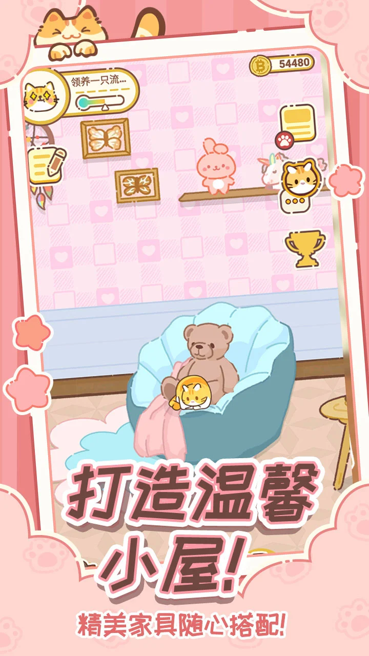 领养一只流浪猫