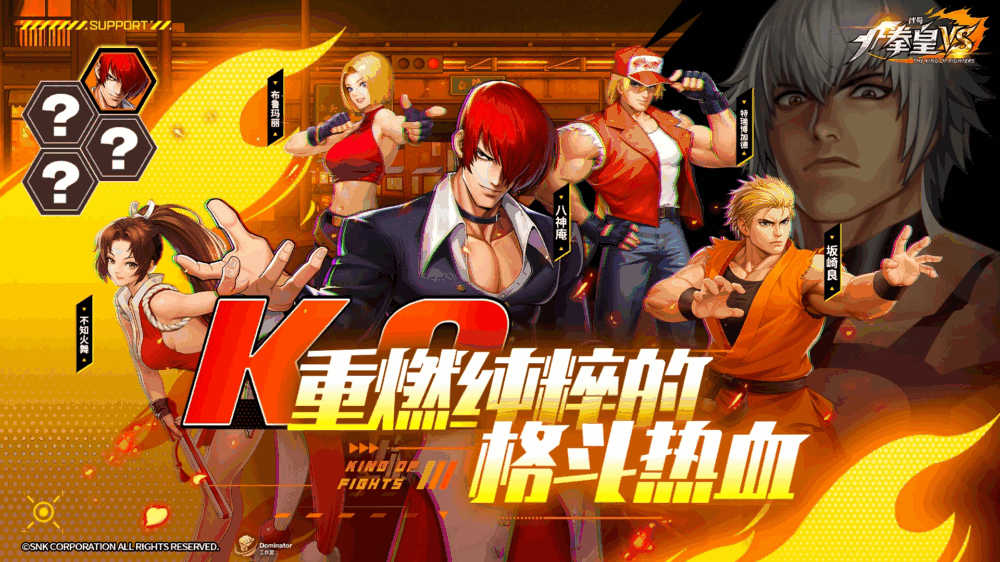 代号拳皇vs