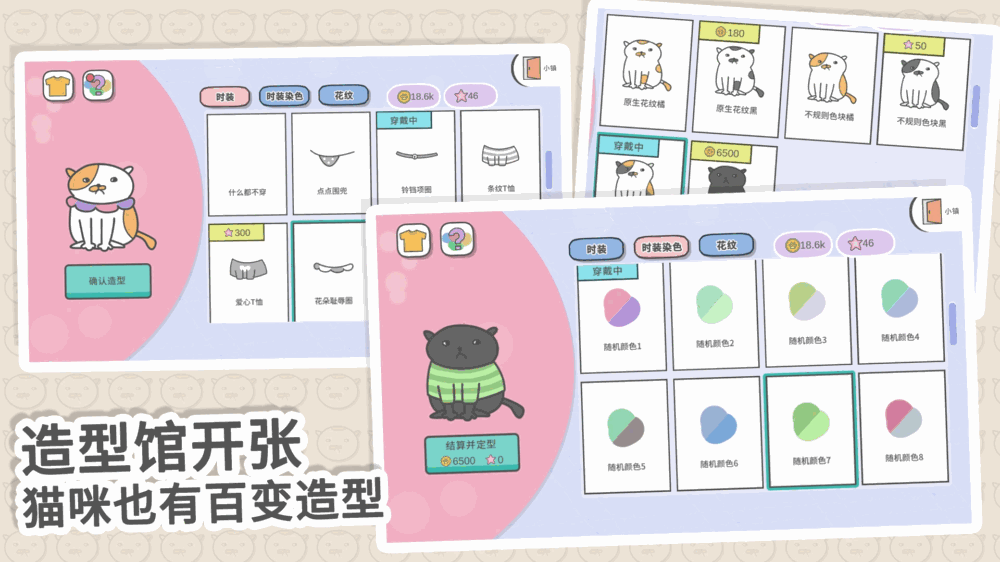 主播和猫的故事截图4