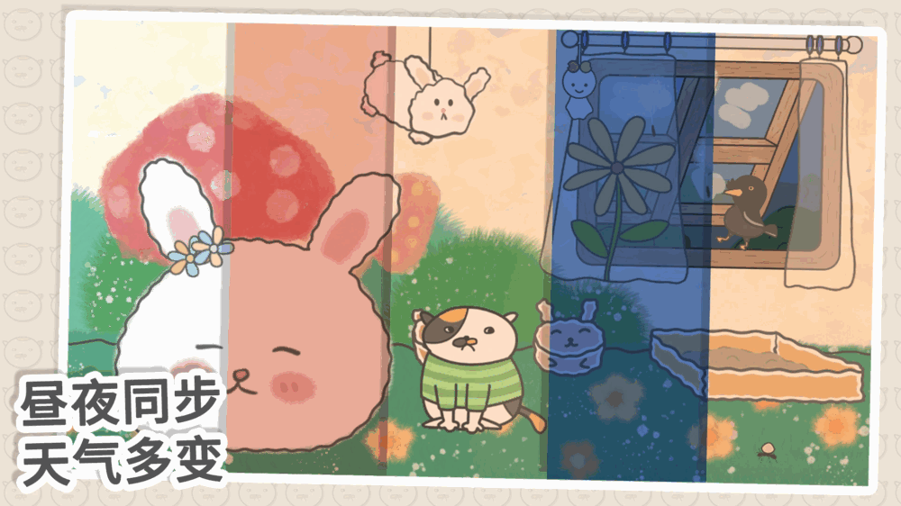 主播和猫的故事截图8