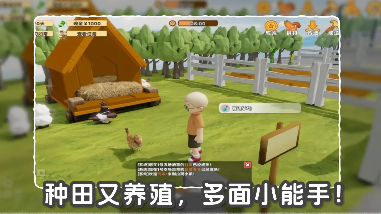 我的拉面小镇