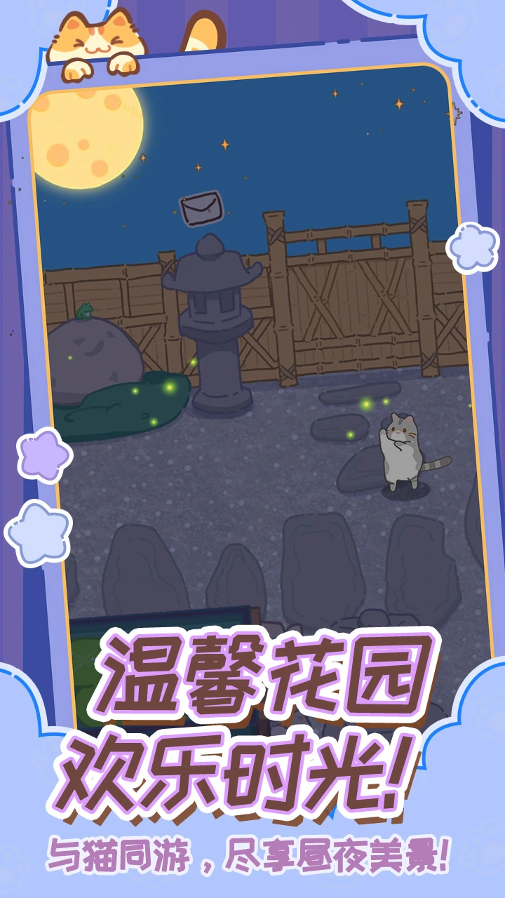 领养一只流浪猫