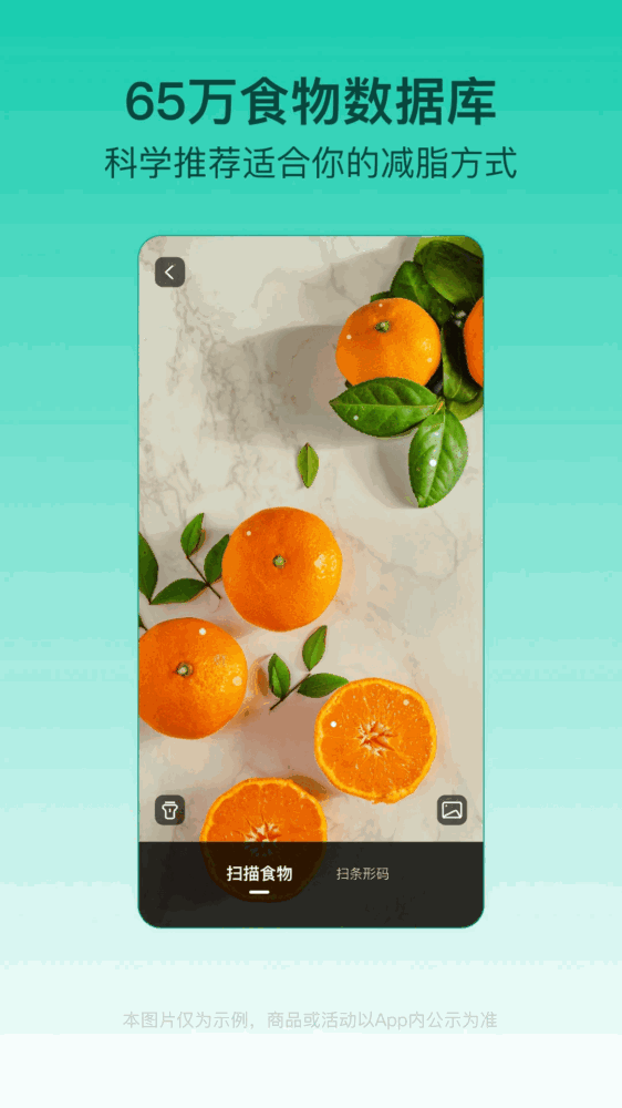 lefu热量减肥法截图5