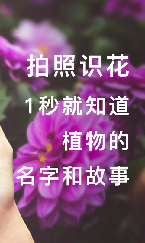 形色截图2