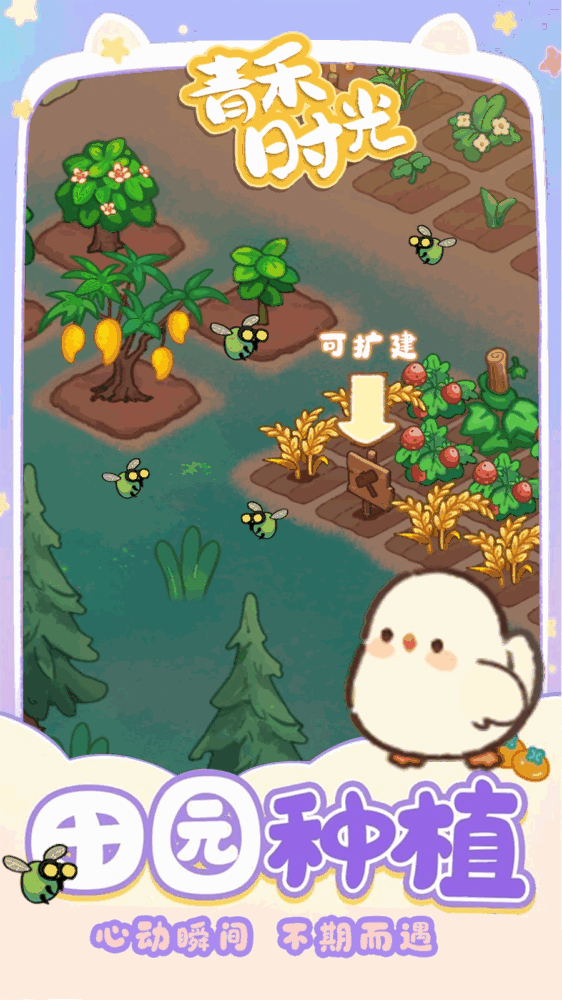 青禾时光截图5