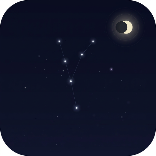 你的夜晚