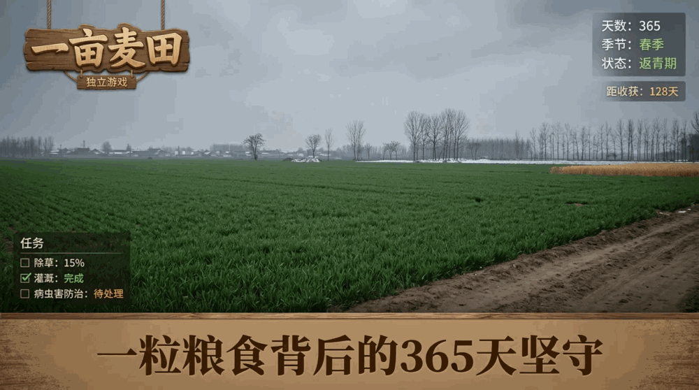 一亩麦田截图2