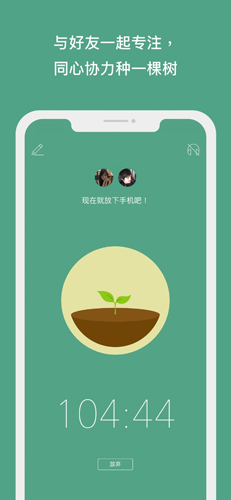 forest专注森林截图4