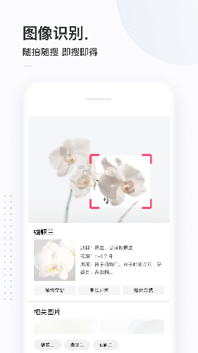 简单搜索截图4