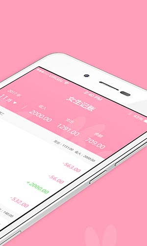 女生记账截图2