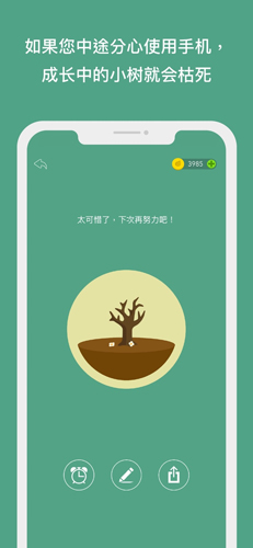 forest专注森林截图3